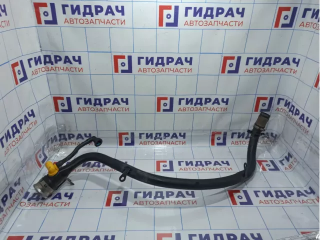 Горловина топливного бака BMW X5 (E70) 16117164254