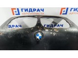 Капот BMW X5 41617008328. Дефекты.