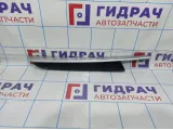 Накладка обшивки двери передней правой BMW X6 (E71) 51419130560