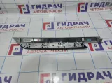 Накладка обшивки двери задней левой BMW X6 (E71) 51429129393