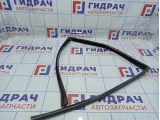 Уплотнитель стекла заднего левого BMW X6 (E71) 51357310317