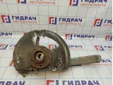 Кулак поворотный передний левый BMW X6 (E71) 31216869869