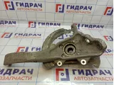 Кулак поворотный передний левый BMW X6 (E71) 31216869869