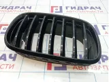 Решетка радиатора правая BMW X6 (E71) 51137157688