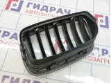 Решетка радиатора правая BMW X6 (E71) 51137157688
