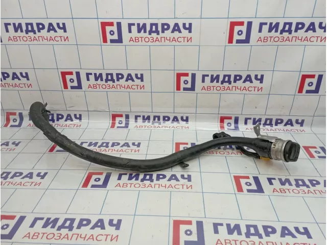 Горловина топливного бака BMW X6 (E71) 16117164254