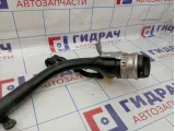 Горловина топливного бака BMW X6 (E71) 16117164254