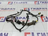 Проводка двери задней левой Chery Tiggo 3 T113724110