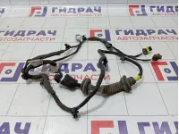 Проводка двери задней левой Chery Tiggo 3 T113724110