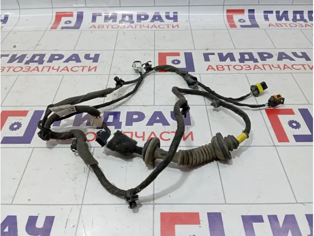 Проводка двери задней левой Chery Tiggo 3 T113724110