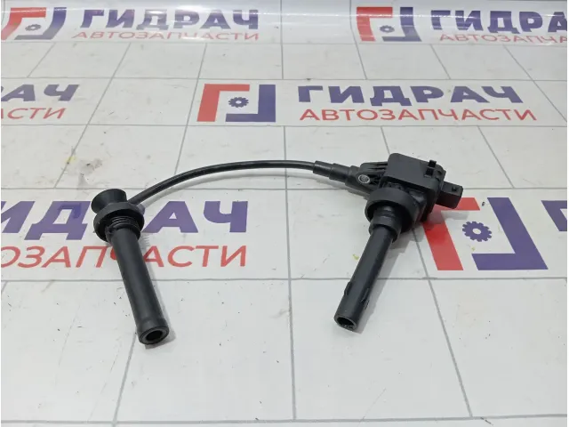 Катушка зажигания Chery Tiggo 3 G133705110