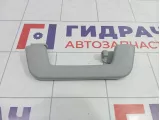 Ручка внутренняя потолочная Chery Tiggo 4 J607006010