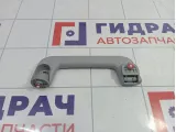 Ручка внутренняя потолочная Chery Tiggo 4 J606906010