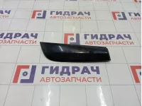 Накладка крыла заднего правого Chery Tiggo 4 J685608600