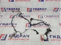 Проводка двери передней левой Chery Tiggo 4 Pro 806002604AA