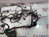 Проводка подкапотная Chery Tiggo 4 Pro 806016412AA