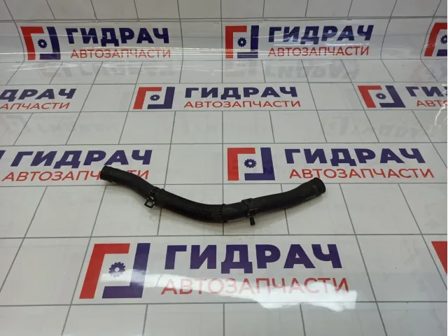 Шланг системы охлаждения Chery Tiggo 4 Pro 302000973AA