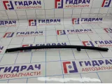 Направляющая стекла двери задняя правая Chery Tiggo T11 T116204116