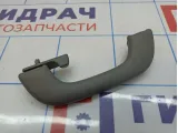 Ручка внутренняя потолочная Chevrolet Lacetti (J200)