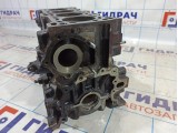 Блок двигателя Chevrolet Aveo T250 96666230.
