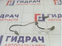 Проводка (коса) подсветки номера Chevrolet Aveo