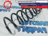 Пружина задняя Chevrolet Aveo T250 96653225. 1 сиреневая 1 желтая метки.