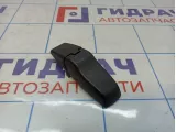 Петля стекла двери багажника левая Chevrolet Captiva (C100) 96624632