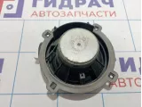 Динамик Chevrolet Captiva (C100) 25907869