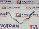 Датчик ABS задний правый Chevrolet Cobalt (T250) 95164926