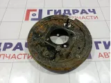 Щит опорный задний левый Chevrolet Cobalt (T250) 95490303
