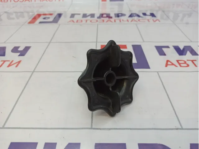 Болт крепления запасного колеса Chevrolet Cobalt (T250) 93319163