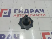 Крепление (болт) запасного колеса Chevrolet Cruze 13132390