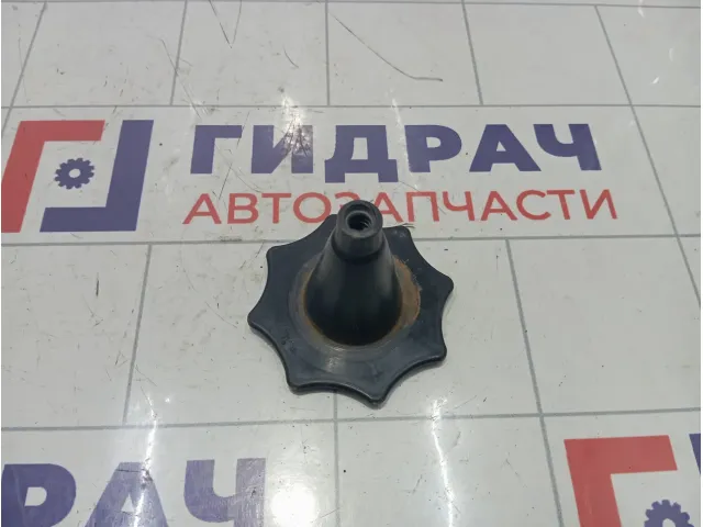 Крепление (болт) запасного колеса Chevrolet Cruze 13132390