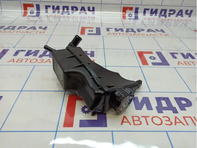 Бачок гидроусилителя Chevrolet Cruze (J300) 13255540