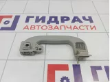 Ручка внутренняя потолочная Chevrolet Cruze 09072235