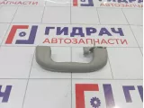 Ручка внутренняя потолочная Chevrolet Cruze 09072234