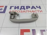 Ручка внутренняя потолочная Chevrolet Cruze 09072234