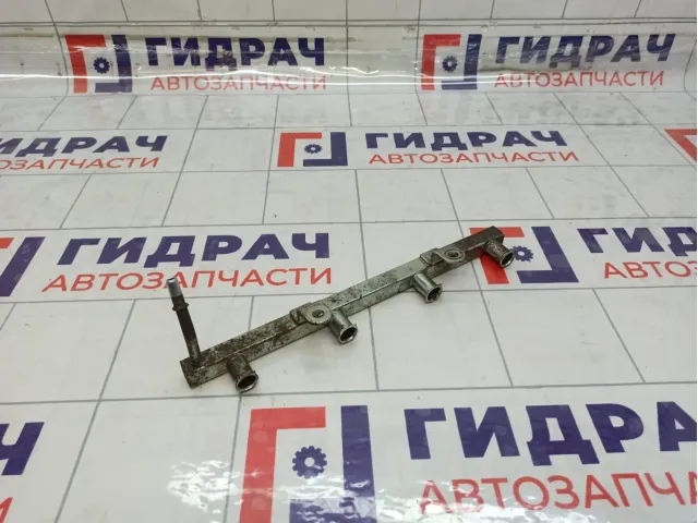 Топливная рампа (топливная рейка) Chevrolet Cruze 96493992