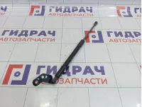 Амортизатор двери багажника левый Chevrolet Spark (M300) 95962017