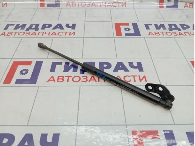 Амортизатор крышки (двери) багажника задний левый Chevrolet Spark 95962017