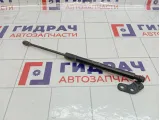 Амортизатор крышки (двери) багажника задний правый Chevrolet Spark 95962016