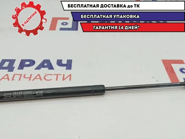 Амортизатор двери багажника Chevrolet Spark .