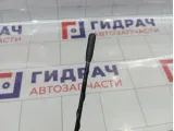 Антенна Citroen C4 6561Z9