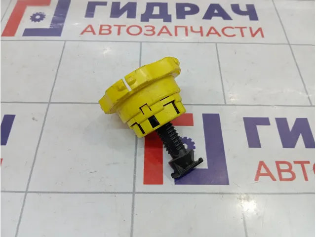 Болт крепления запасного колеса Citroen C4 7603R2