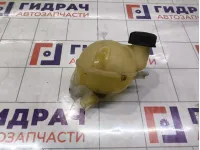 Бачок расширительный Citroen C4 1323AH