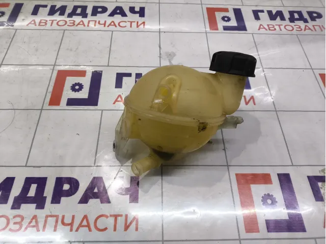 Бачок расширительный Citroen C4 1323AH