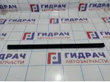 Уплотнитель стекла двери задней правой Citroen  C4 II 9677088680