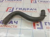 Патрубок радиатора Daewoo Gentra II 95076435