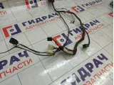 Проводка двери передней левой Datsun on-DO 219503724545