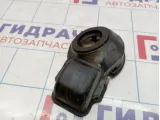 Ниша лючка бензобака Dodge Caliber 05074083AB